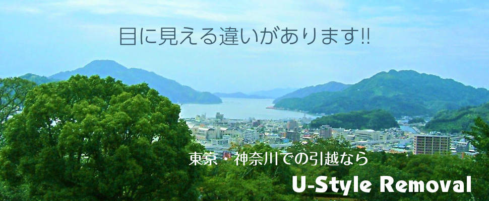 U-Style Removalイメージ